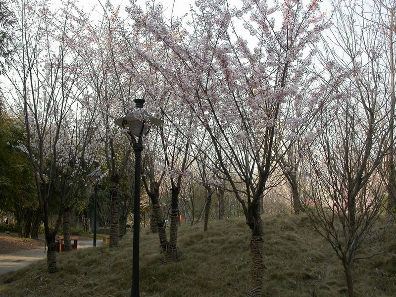 dscn8879.jpg