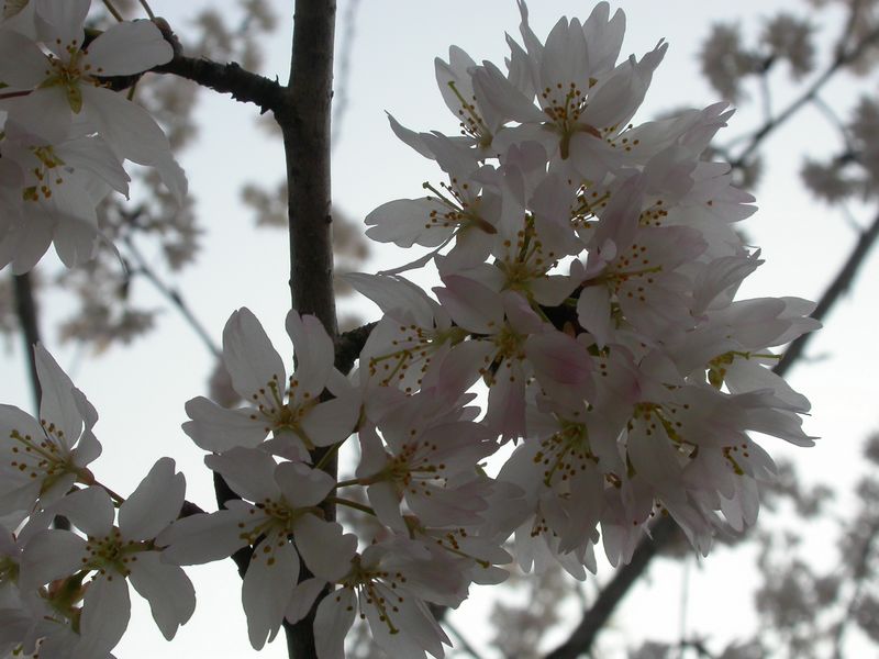 dscn8880.jpg