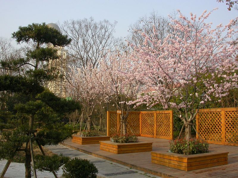 dscn8886.jpg
