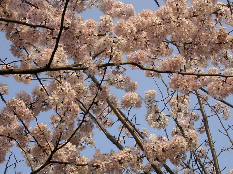 dscn8901.jpg