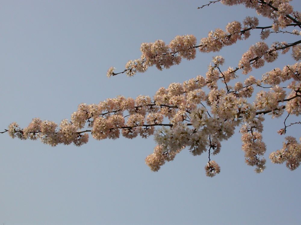 dscn8902.jpg