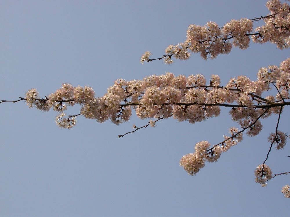 dscn8903.jpg