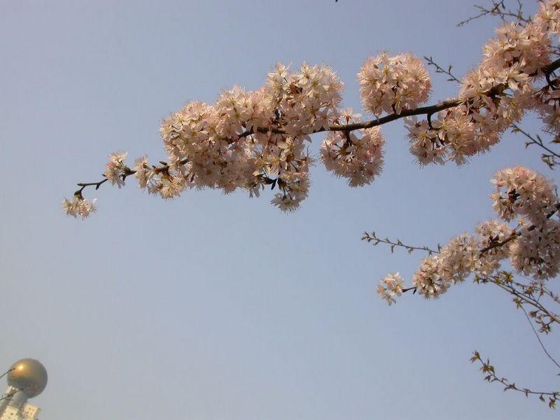 dscn8906.jpg