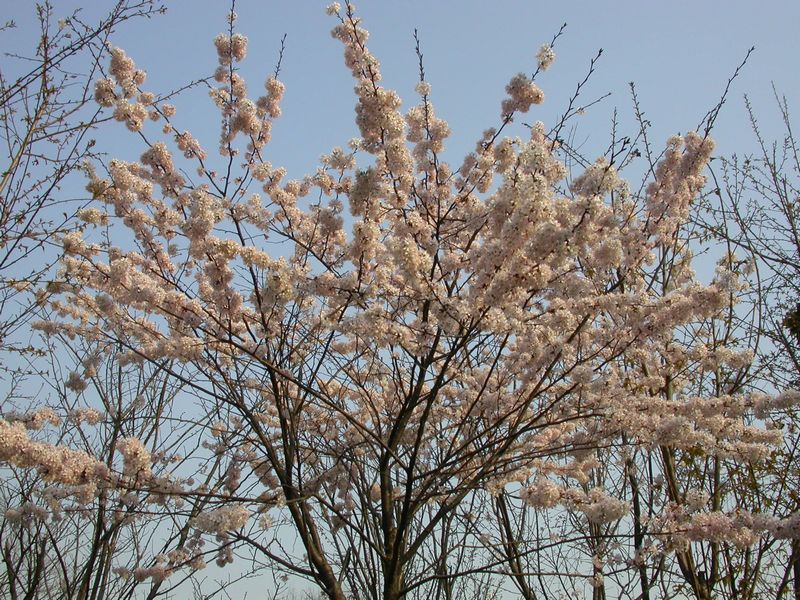dscn8908.jpg