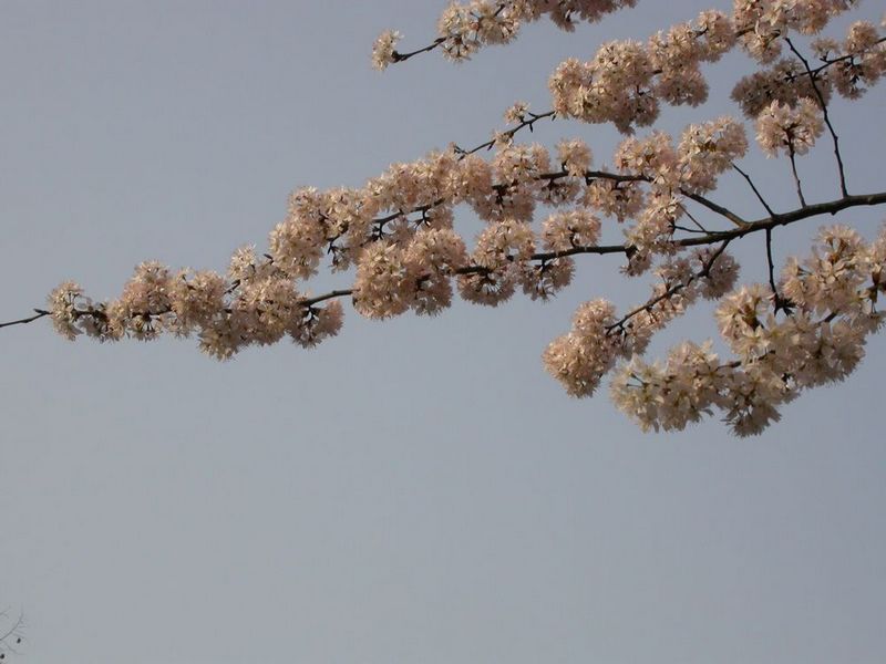 dscn8912.jpg