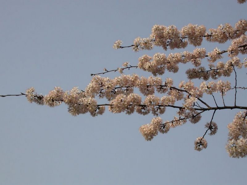 dscn8914.jpg