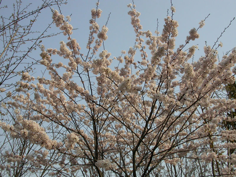 dscn8916.jpg