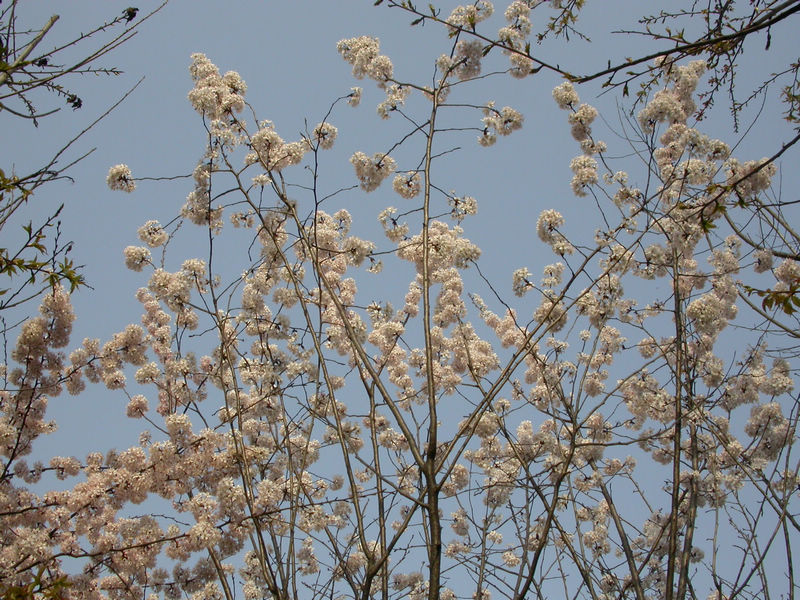 dscn8919.jpg