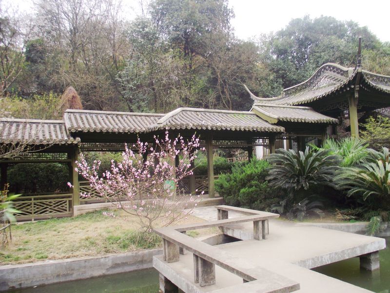 dscf8095.jpg