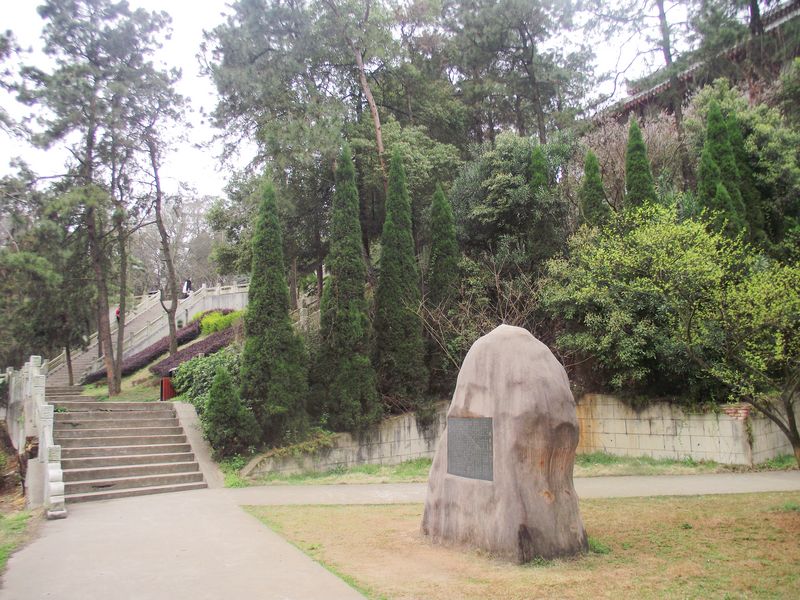 dscf8084.jpg