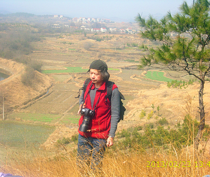 dsci2246.jpg