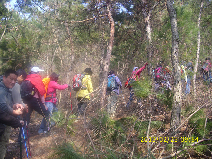 dsci2200.jpg