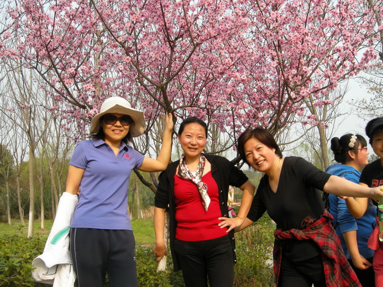 dscn7674.jpg
