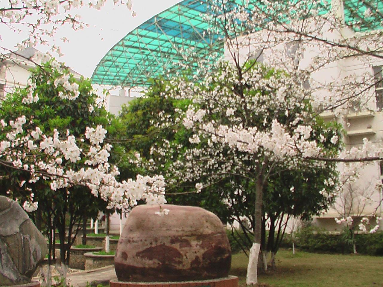 imga0550.jpg