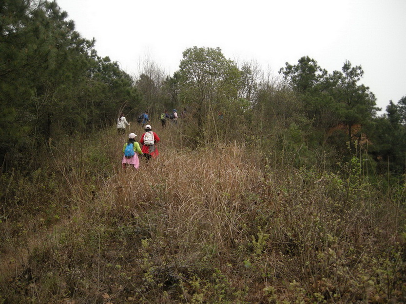 dscn7750.jpg