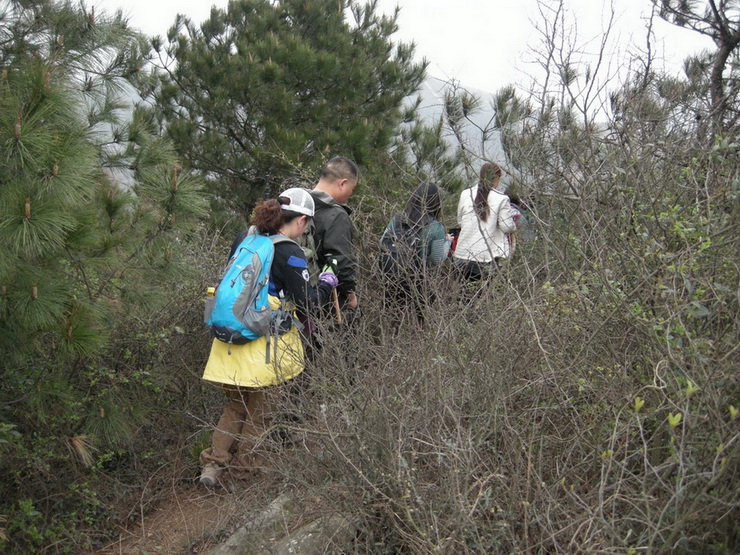 dscn7773.jpg