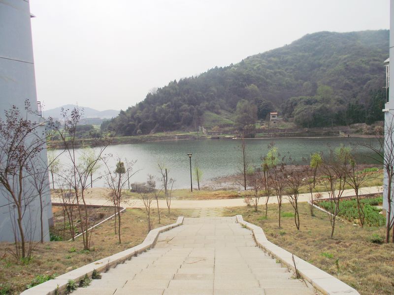dscf8187.jpg