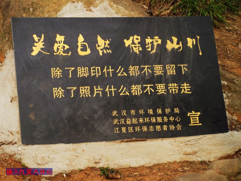 dscf8023.jpg