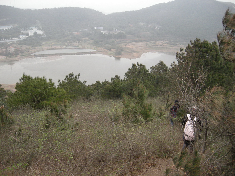dscn7789.jpg