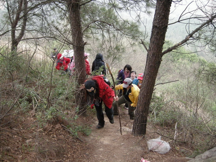 dscn7799.jpg