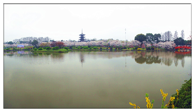 dsc08743_.jpg