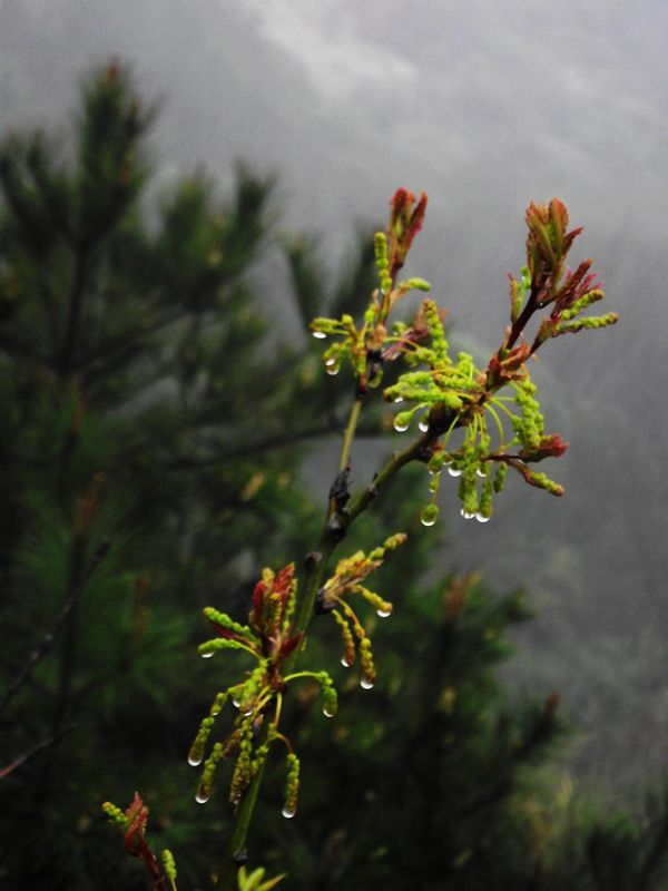 dscf8042.jpg