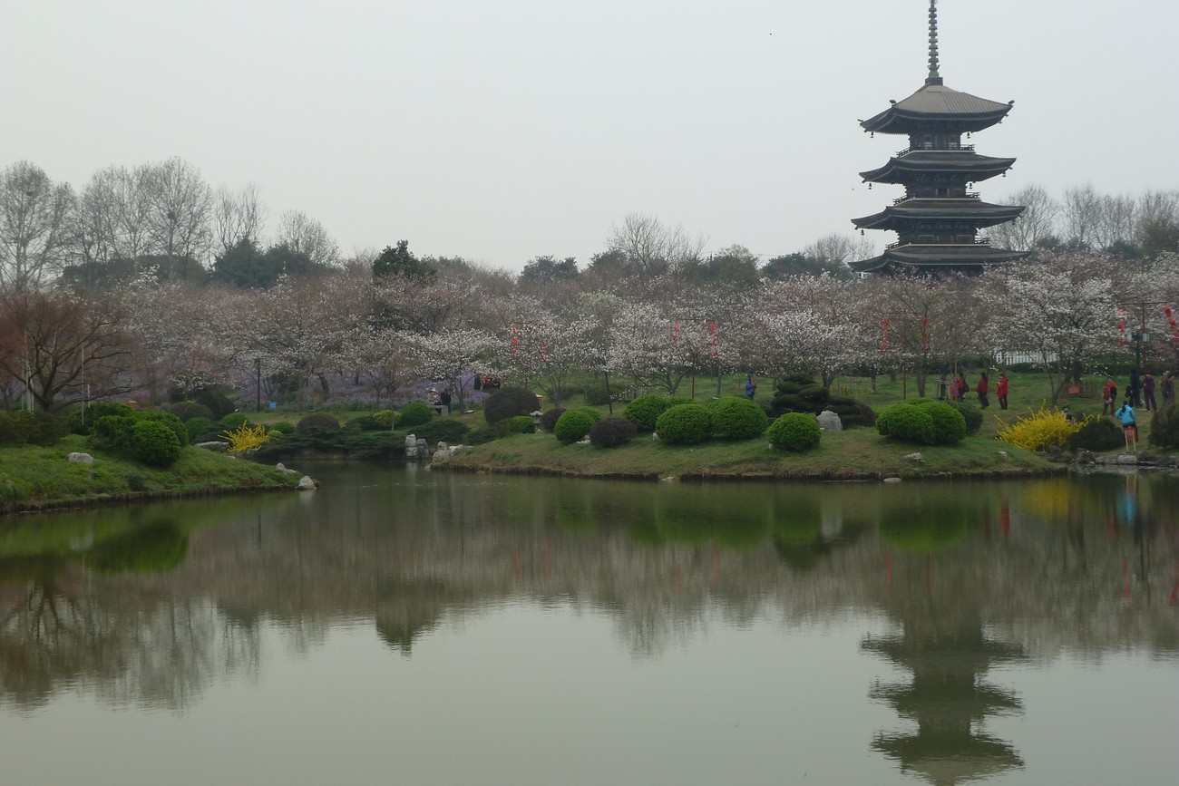 p1050753.jpg