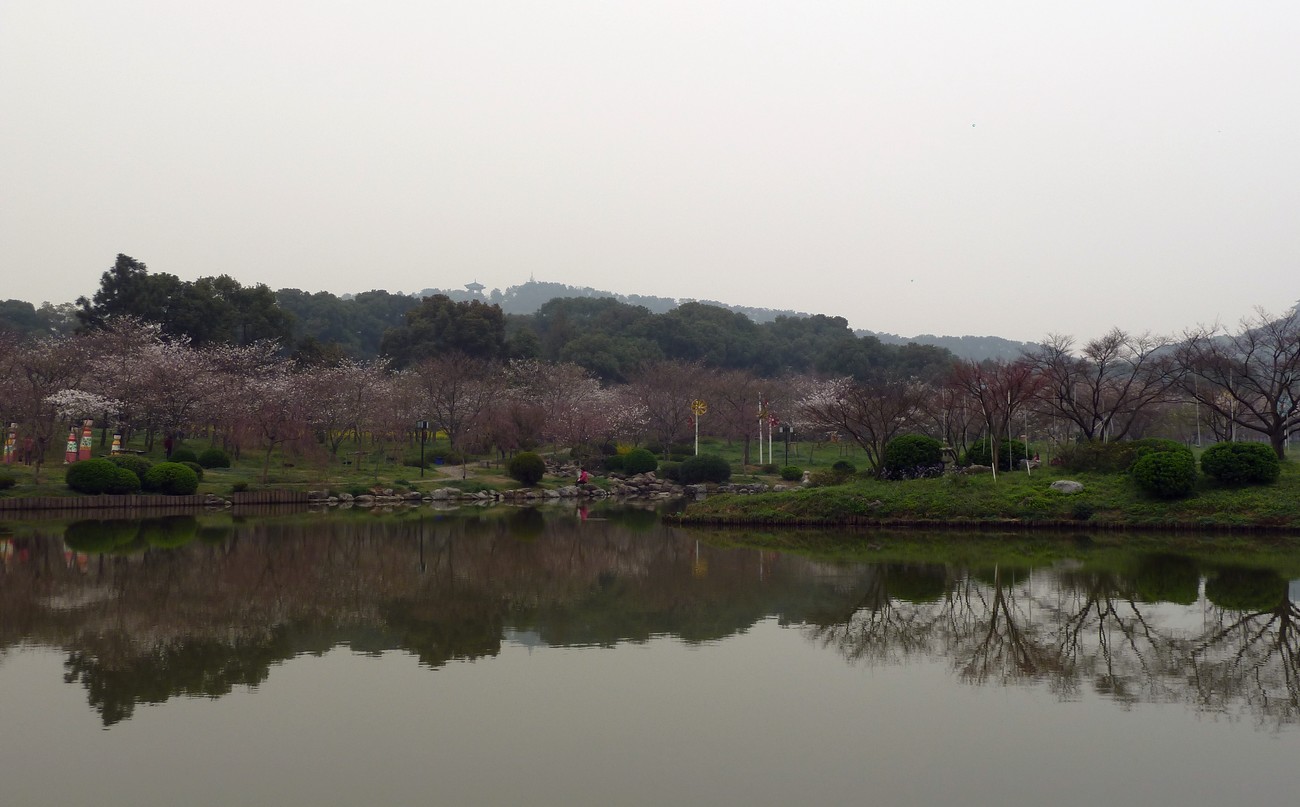 p1050788.jpg