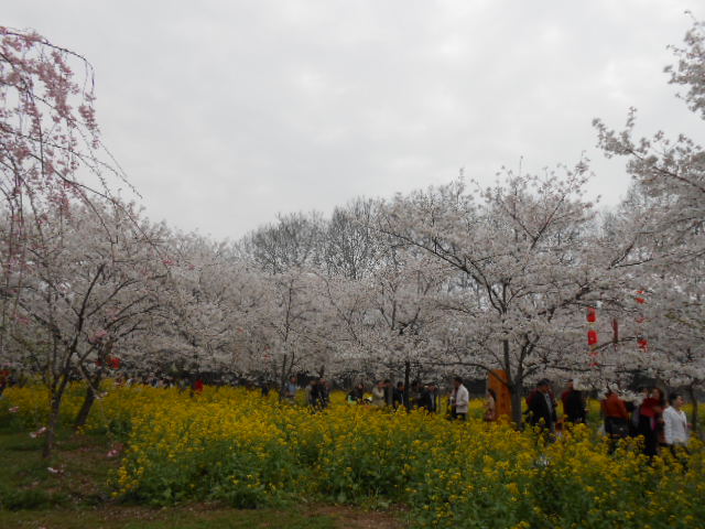 dscn0118.jpg