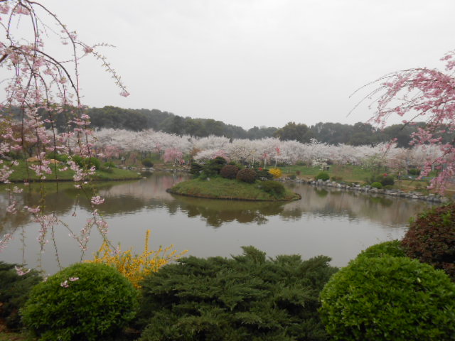 dscn0120.jpg