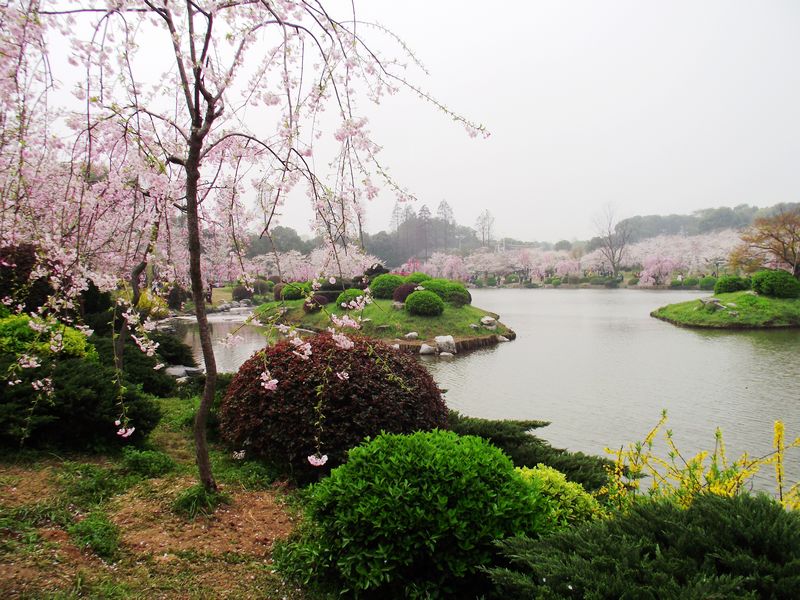 dscf8029.jpg