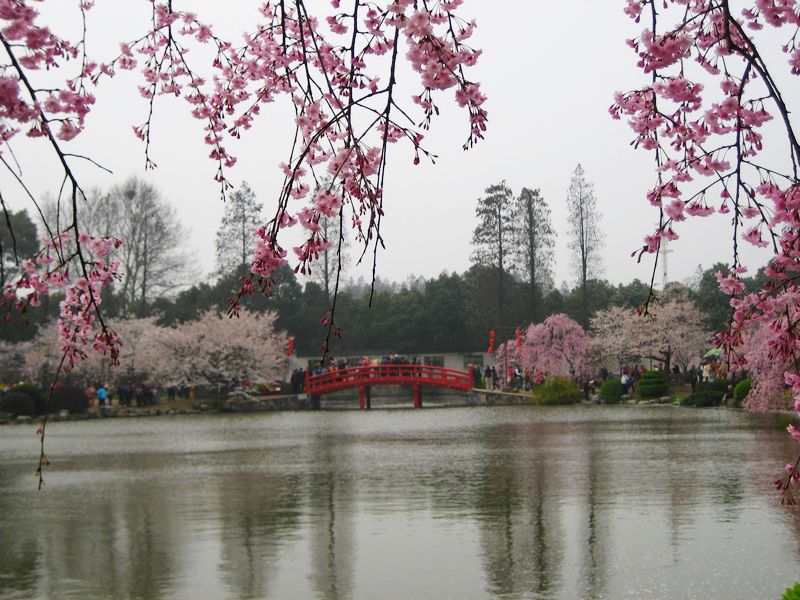 dscf8214.jpg