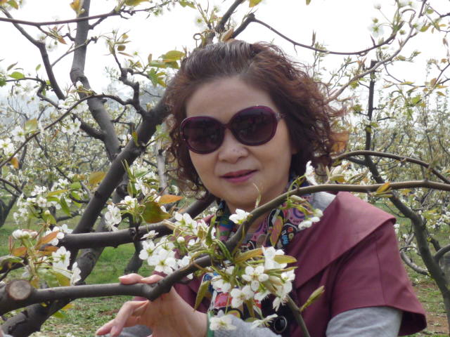 p1090857.jpg