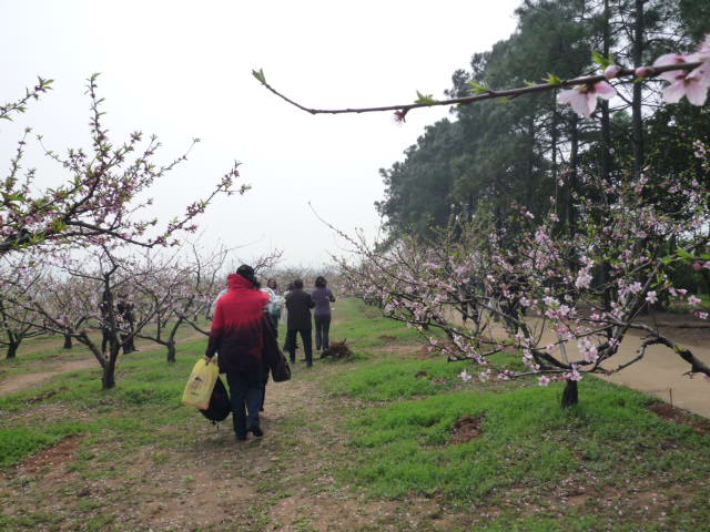 p1090847.jpg