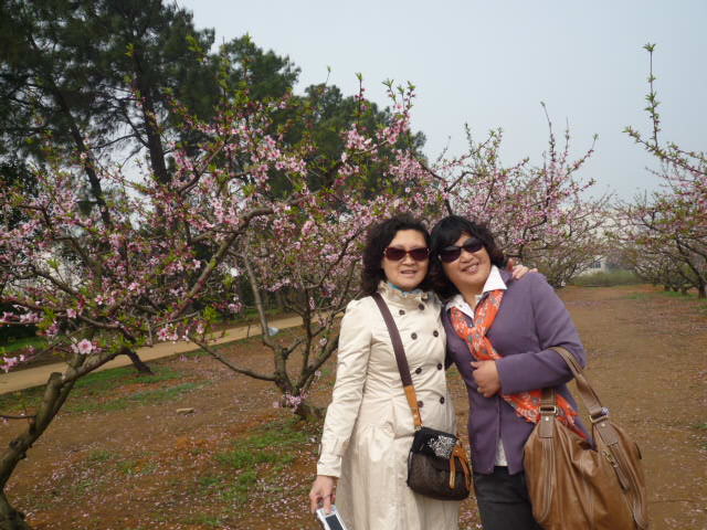 p1090841.jpg