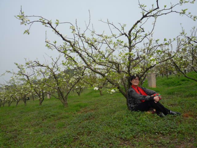 p1090861.jpg
