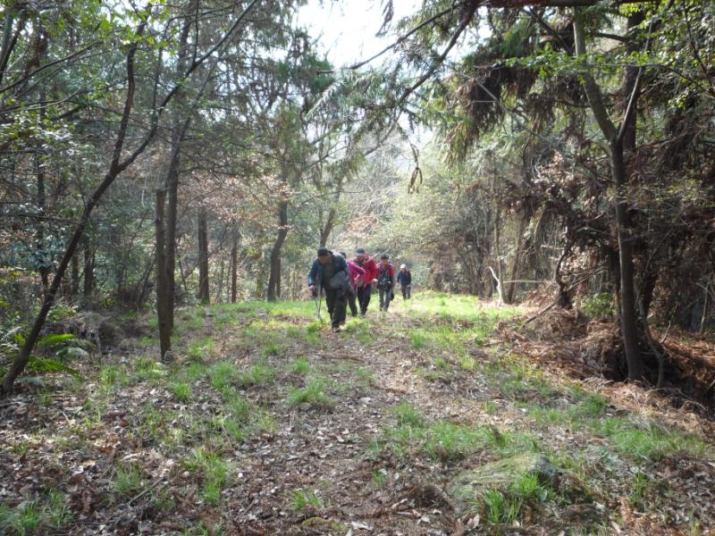 p1030253.jpg