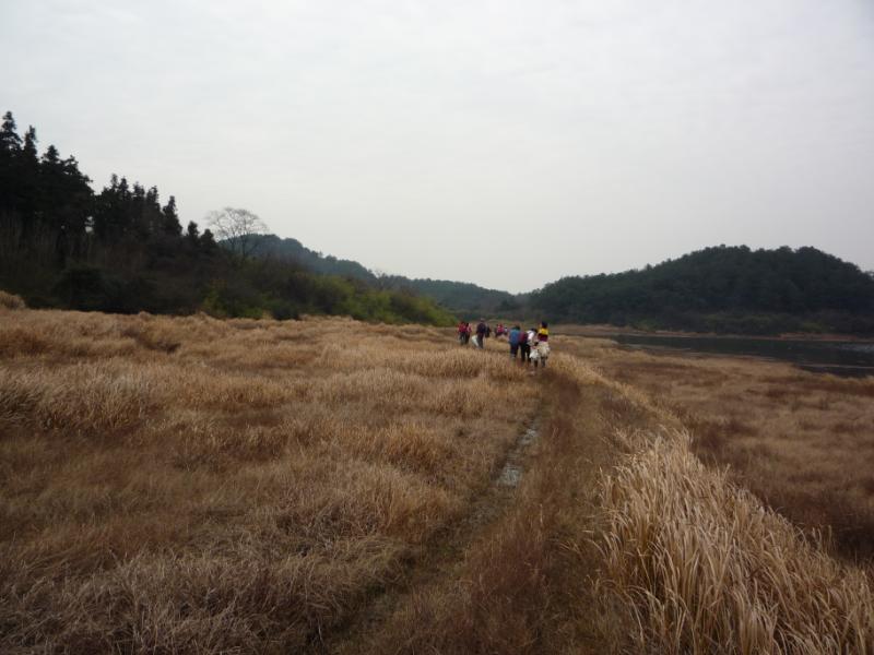 p1030229.jpg
