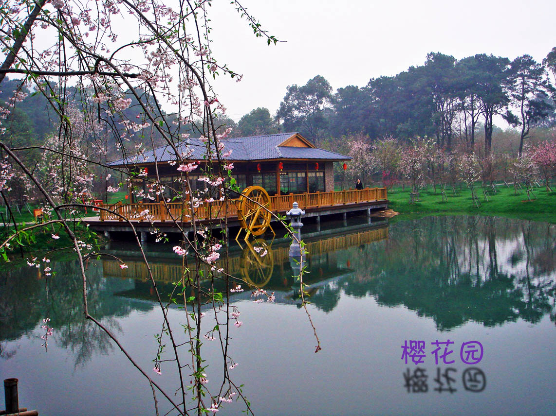 dsc00912Զ㣩.jpg