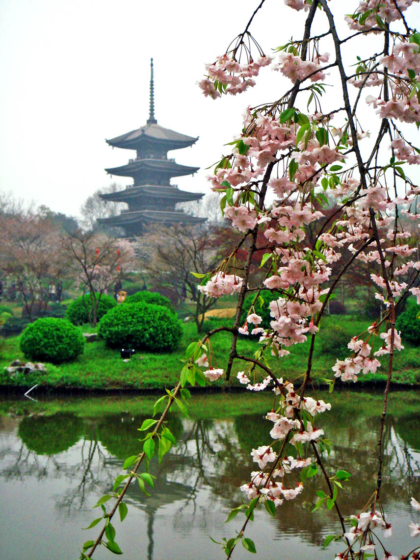 dsc00924Զ㣩.jpg