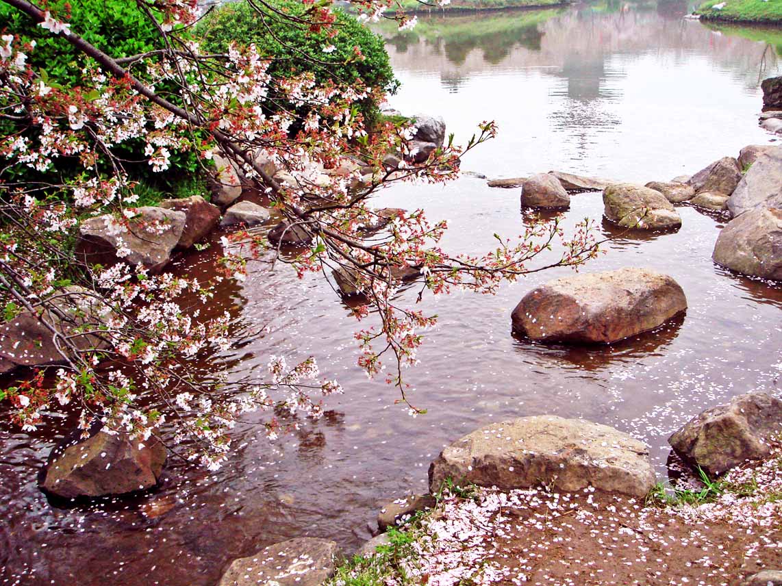 dsc00921Զ㣩.jpg