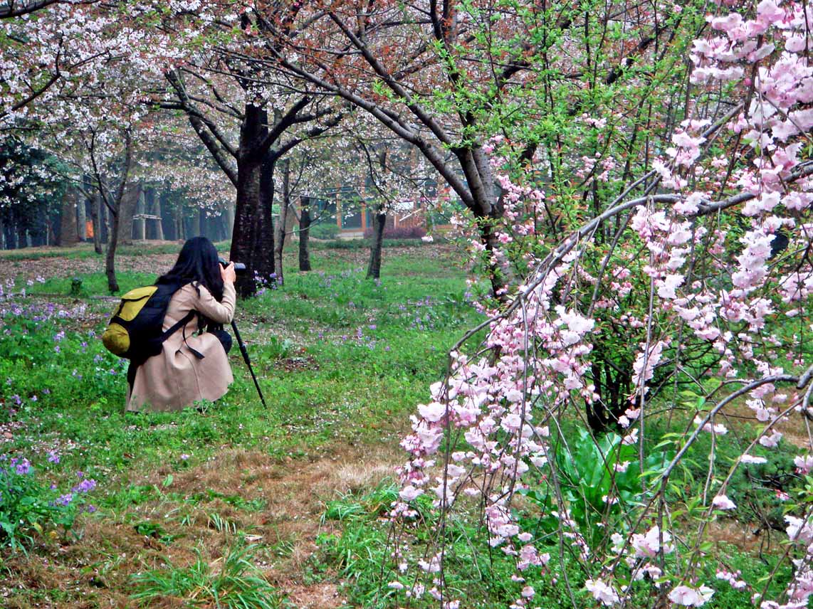 dsc00917Զ㣩.jpg