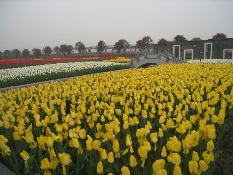 conew_img_7535.jpg