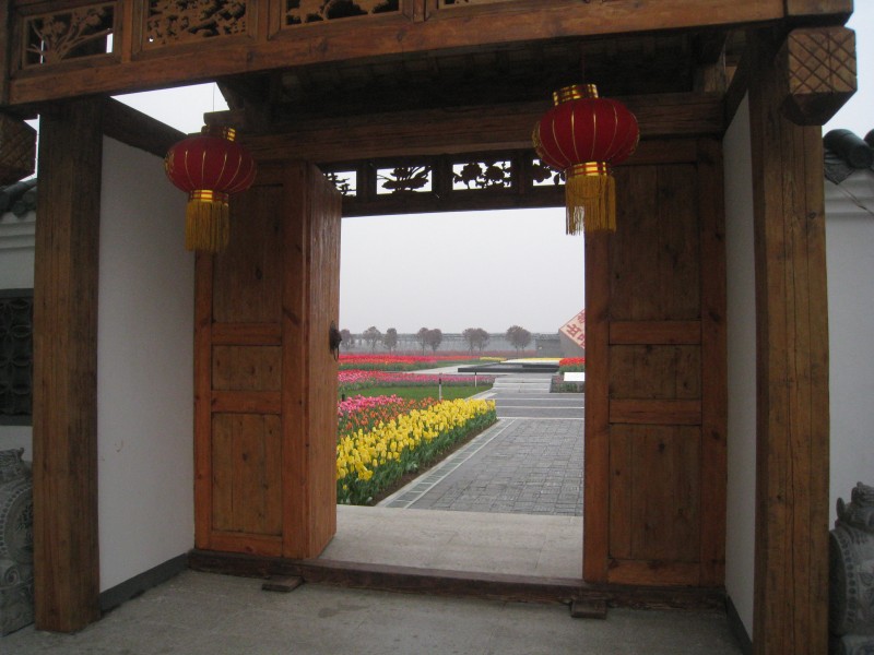 conew_img_7515.jpg