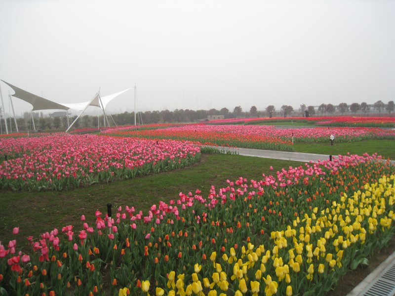 conew_img_7516.jpg