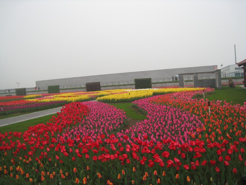 conew_img_7517.jpg