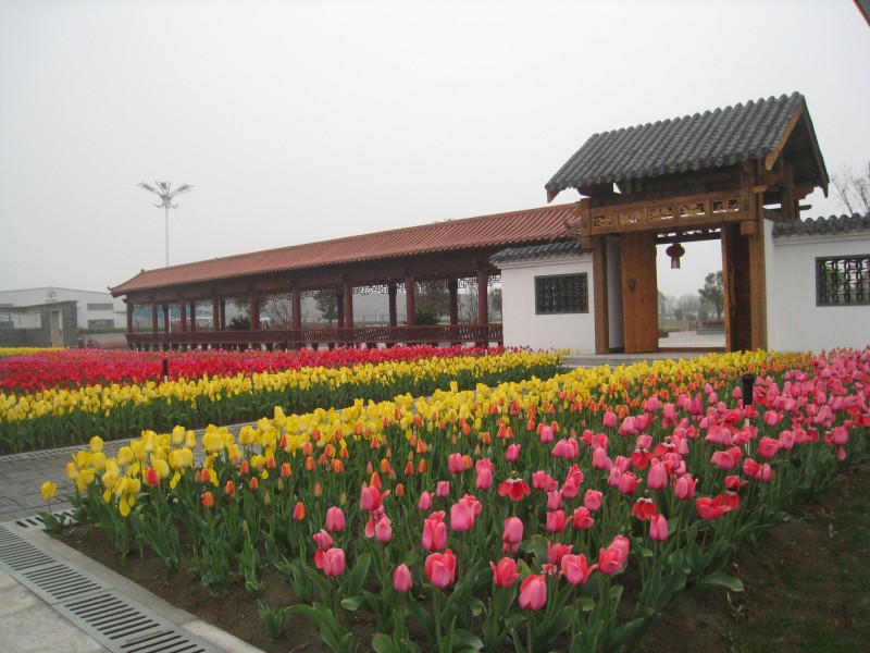 conew_img_7521.jpg
