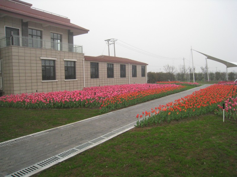 conew_img_7520.jpg