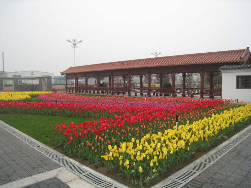 conew_img_7522.jpg