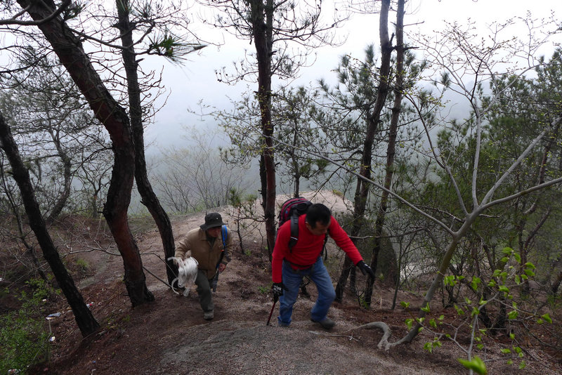 p1070987.jpg